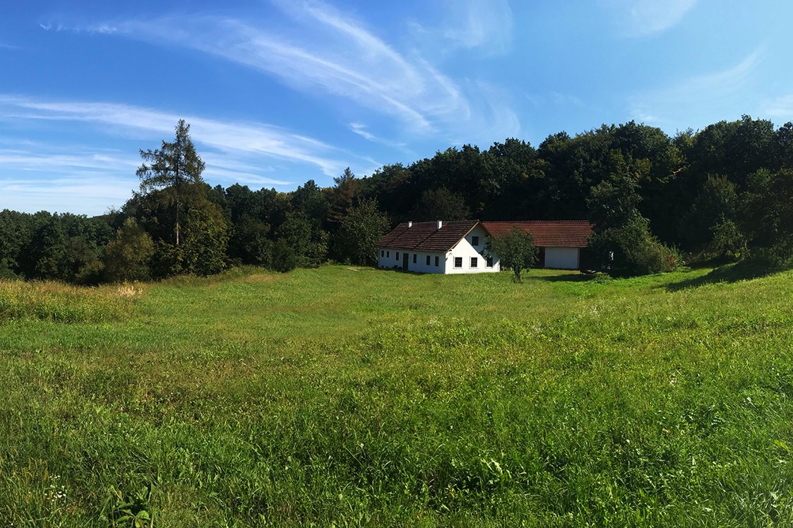 Hochzeit: Wald und Wiese im Burgenland - Südburgenländisches Bauernhaus mit Scheune in absoluter Alleinlage neu revitalisiert