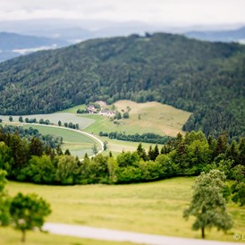 Hochzeit: Blick auf das Klagenfurter Becken - Gipfelhaus Magdalensberg