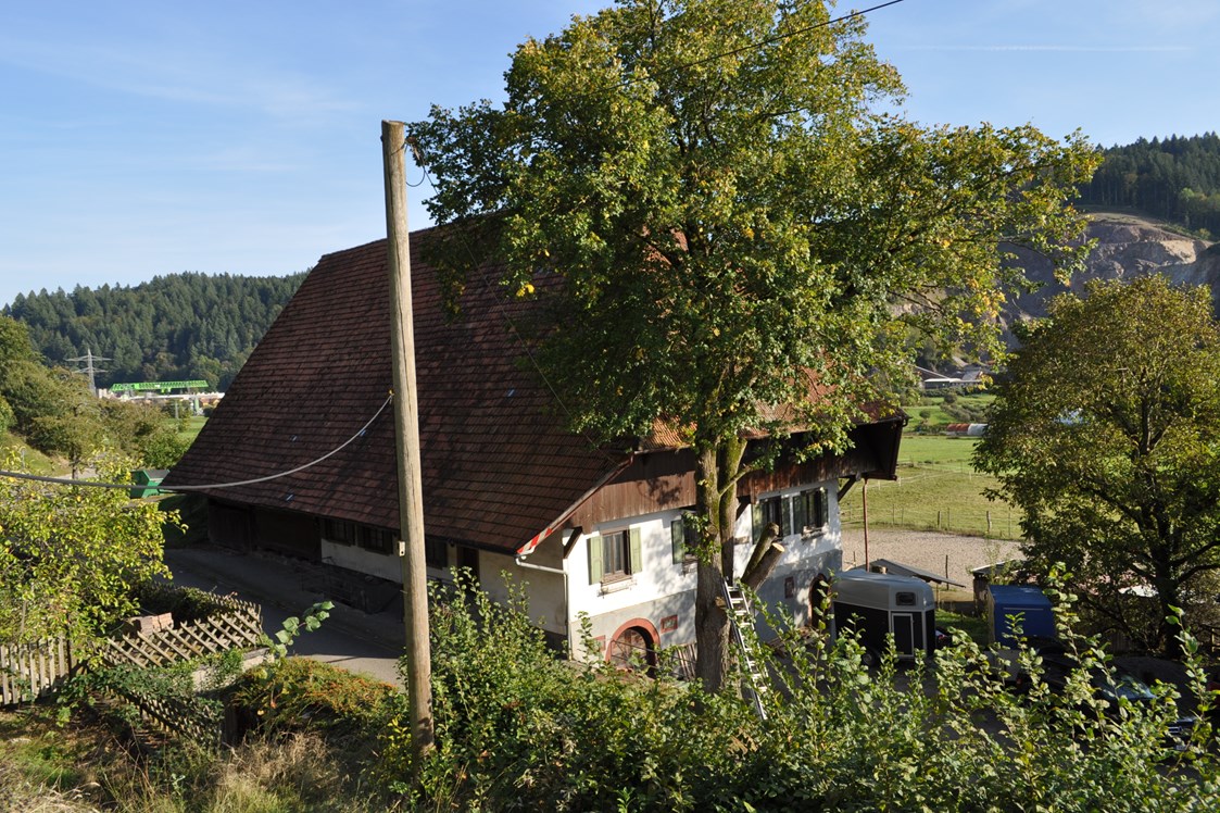 Hochzeit: Der Martinshof ist ein über 900 Jahre alter Bauernhof und im schönen Kinzigtal bei Hausach/Fischerbach gelegen. - Martinskapelle auf dem Martinshof