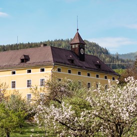 Hochzeit: Schloss Lichtengraben - Gut Schloss Lichtengraben  - romantisches Schloss exklusive mieten