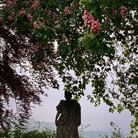 Hochzeit: Alte Bäume, Statuen und Brunnen schaffen eine ehrwürdige Atmosphäre im Schlosshof und Rosengarten. - Schloss Friedewald (Westerwald)