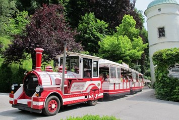 Hochzeit: Bummelzug "Tratzberg Express", welcher Ihre Gäste die Waldstrasse rauf zum Schloss transportiert - Schloss Tratzberg