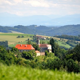 Hochzeit: Einsam, mitten in den grünen Hügeln des Mühlviertels, nur 20 Autominuten von Linz - das stille Schloss Eschelberg - Schloss Eschelberg