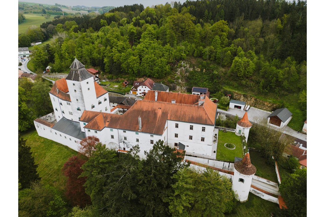 Hochzeit: Schloss Seisenegg - Schloss Seisenegg