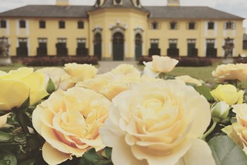 Hochzeit: Schloss Neuwartenburg