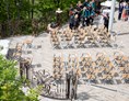 Hochzeit: Enziana-Terrasse, vorbereitet für eine standesamtliche Trauung - Burg Plankenstein