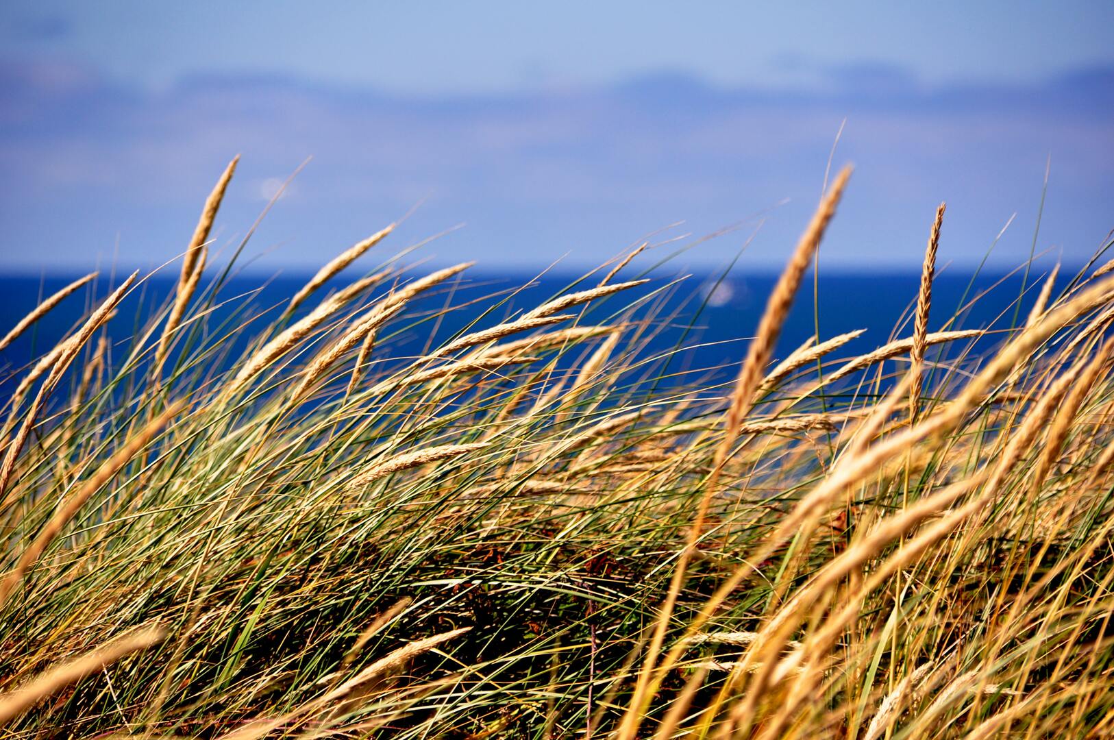 Un mariage sur la côte peut être assez venteux.
