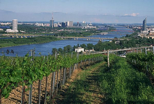 Vienna vista da Nußberg