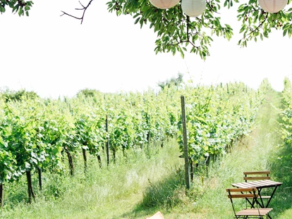 Hochzeit - Umgebung: in Weingärten - Flandorf - Weingut Weinhandwerk