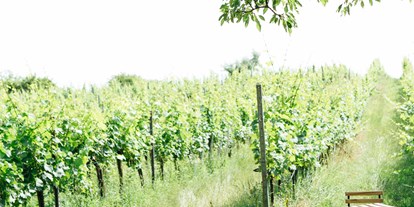 Hochzeit - Umgebung: in einer Stadt - Wien - Weingut Weinhandwerk