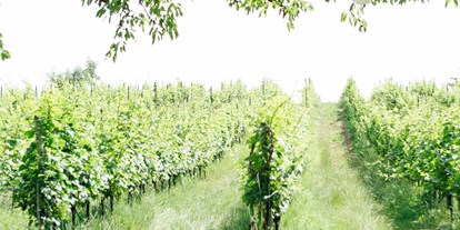 Hochzeit - Art der Location: Wintergarten - PLZ 1130 (Österreich) - Weingut Weinhandwerk