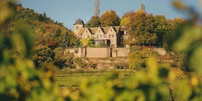Hochzeit - Pfalz - Schloss Kropsburg - Draufsicht - Schloss Kropsburg