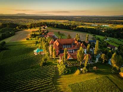 Hochzeit - Garten - Das Weinschloss Thaller umgeben von Weingärten im Thermen- & Vulkanland Steiermark - Weinschloss Thaller