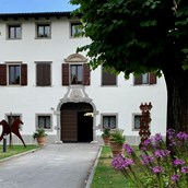 Hochzeitslocation - Villa Minini