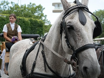 Hochzeit - Burgenland - Hochzeitskutsche (hauseigene Pferdestall) - VILA VITA Pannonia