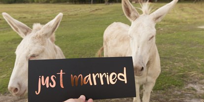Hochzeit - Hochzeitsessen: mehrgängiges Hochzeitsmenü - Weiden am See - unsere Esel - VILA VITA Pannonia