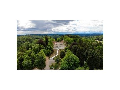 Hochzeit - Art der Location: ausgefallene Location - Steiermark - Feiern in der Natur auf Schloss Vasoldsberg. - Schloss Vasoldsberg 