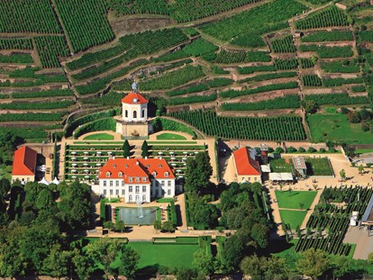 Hochzeit - Umgebung: in Weingärten - Deutschland - Schloss Wackerbarth