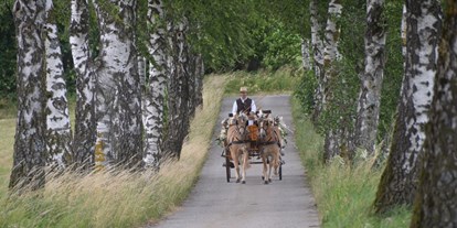 Hochzeit - Umgebung: am Land - Steyregg - mit der Kutsche durch die Birkenallee - Vedahof - Gramastetten