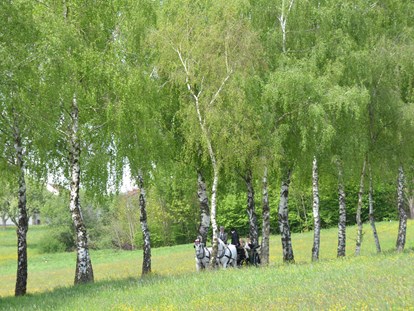Hochzeit - Frühlingshochzeit - Taunleiten - Birkenallee zum Vedahof - Vedahof - Gramastetten