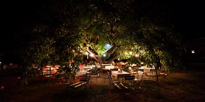 Hochzeit - Umgebung: am Land - Storkow (Mark) - Abendstimmung unter´m Nussbaum - Alte Försterei