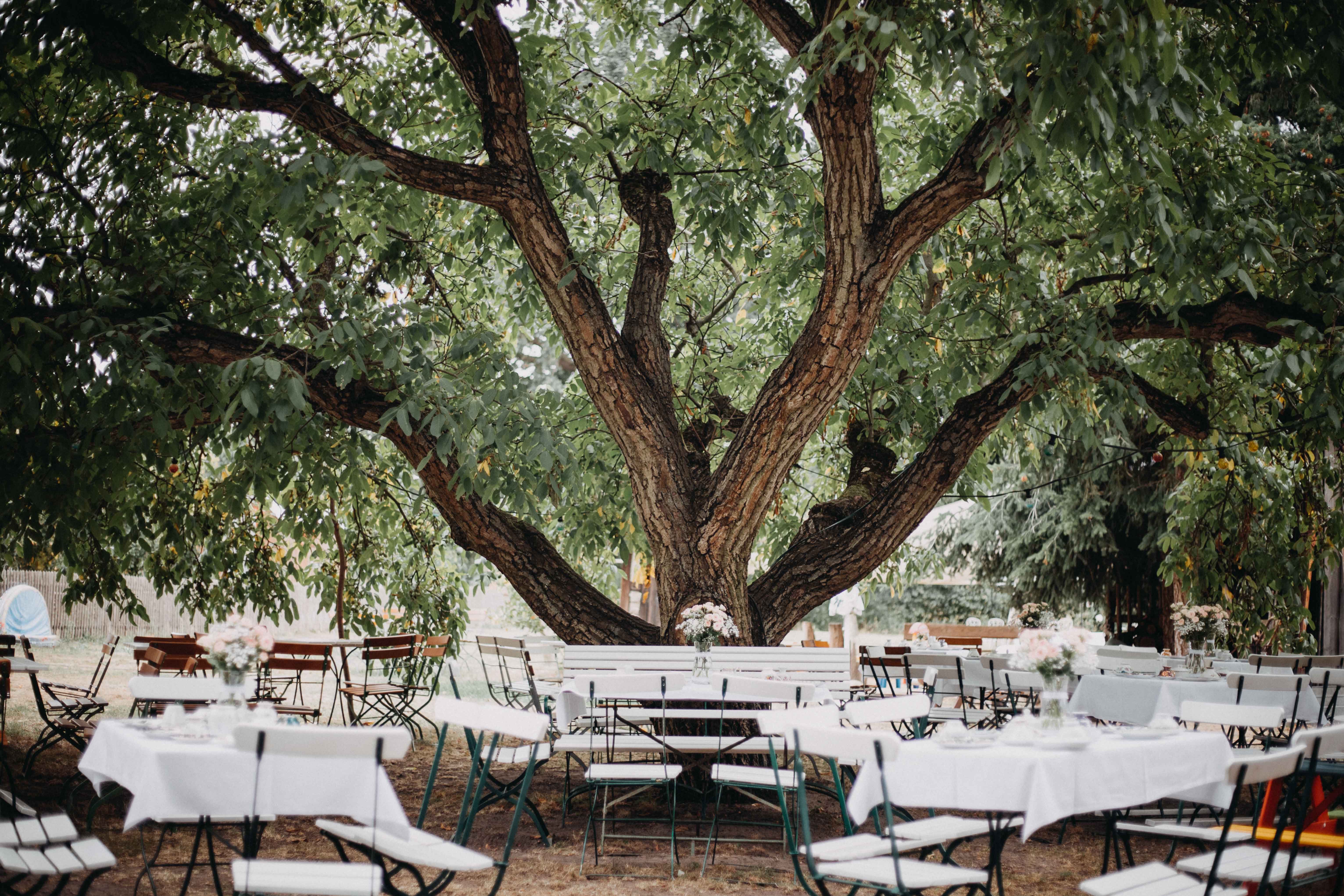 Hochzeit: ...ein Festsaal unter´m Blätterdach... - Alte Försterei