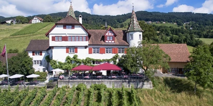 Bruiloft - Umgebung: in Weingärten - Frastanz - Schloss-Ansicht - Schloss Weinstein