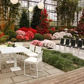 Luogo del matrimonio - Der Japangarten - Trauort für standesamtliche Trauungen und freie Zeremonien mit Gesellschaften bis 100 Personen - die neue botanika