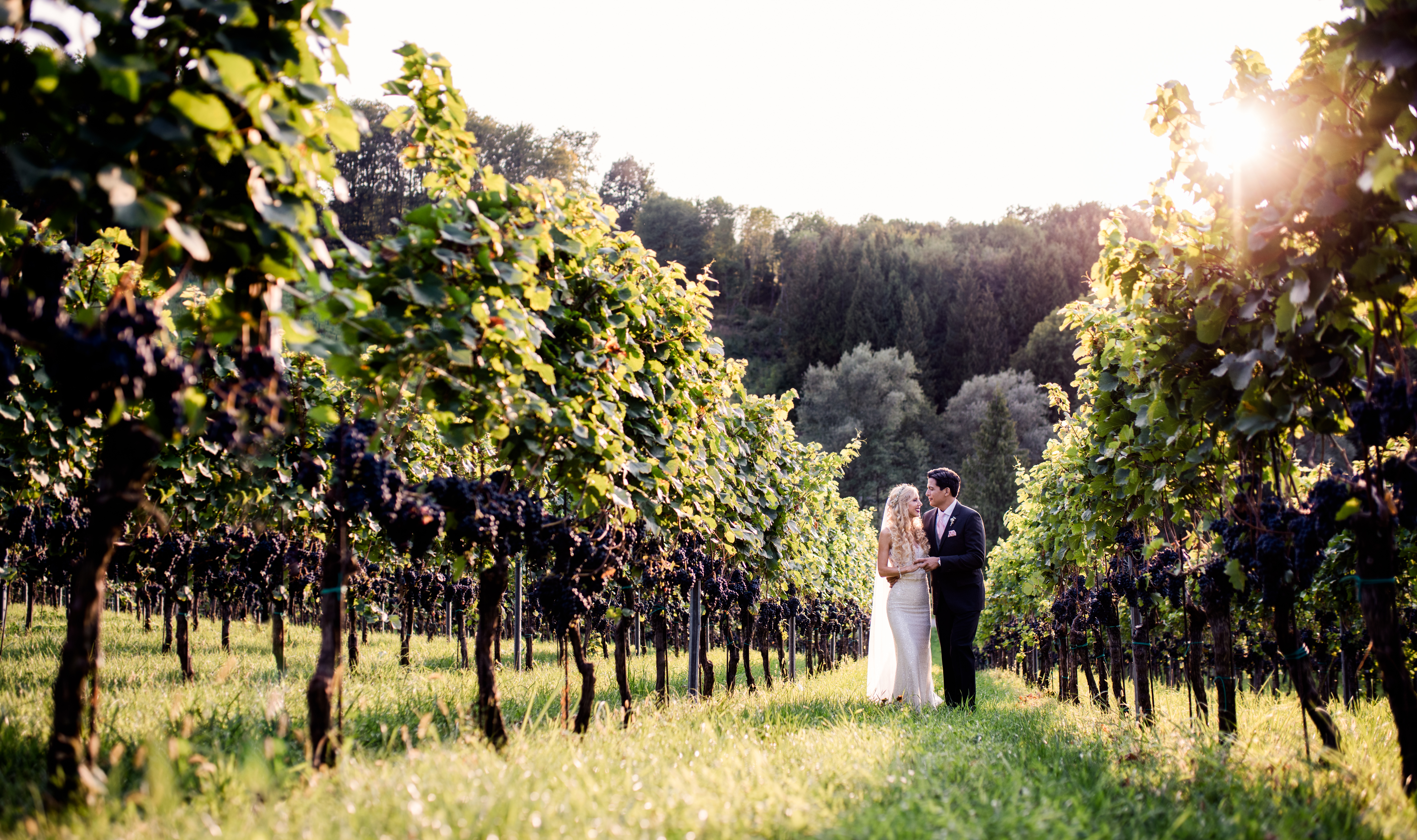 Hochzeit: Weingut Georgiberg