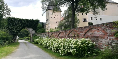 Nozze - Art der Location: Burg - Bezirk Neunkirchen - Burg Feistritz - Burg Feistritz