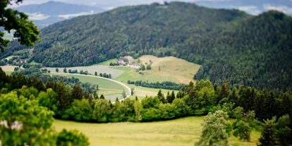 Mariage - Umgebung: in den Bergen - Friesach (Friesach) - Blick auf das Klagenfurter Becken - Gipfelhaus Magdalensberg