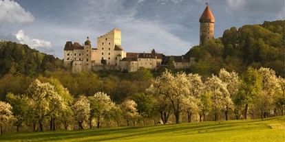 Hochzeit - Frühlingshochzeit - St. Oswald (St. Oswald) - Burg Clam