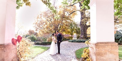 Hochzeit - Hochzeitsessen: mehrgängiges Hochzeitsmenü - Weichselbaum (Weichselbaum) - Der Blick in den Park - 3 alte Bäume stehen hier sogar unter Naturschutz - Schloss Welsdorf