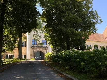 Hochzeit - Umgebung: im Park - Oberneuberg (Pöllauberg) - Schloss Welsdorf