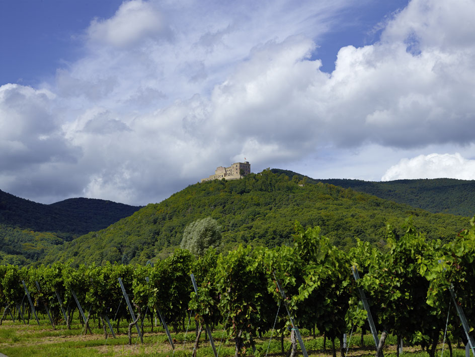 Hochzeit: Hambacher Schloss