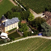 Trouwlocatie - Luftaufnahme - Hotel Schloss Edesheim