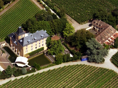 Hochzeit - Umgebung: in Weingärten - Annweiler am Trifels - Luftaufnahme - Hotel Schloss Edesheim