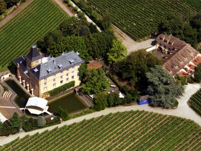 Hochzeit - Geeignet für: Eventlocation - Pleisweiler-Oberhofen - Luftaufnahme - Hotel Schloss Edesheim