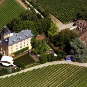 Hochzeitslocation - Luftaufnahme - Hotel Schloss Edesheim