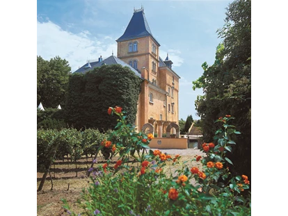 Nozze - Frühlingshochzeit - Renania-Palatinato - Hotel Schloss Edesheim
