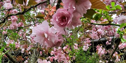 Hochzeit - Candybar: Saltybar - PLZ 84307 (Deutschland) - Blick vom französischen Gartenzimmer auf die Kirschblüte - Der Malerhof