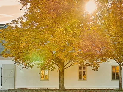 Wedding - Herbsthochzeit - Margarethen am Moos - Kalandahaus im Weingut Esterhazy