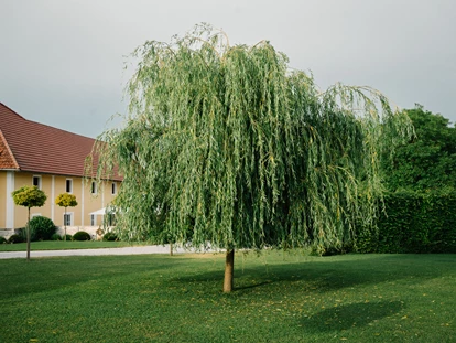 Hochzeit - Hochzeits-Stil: Modern - Weißenberg (Ansfelden) - Parkanlage des Oberbauergutes  - Oberbauergut