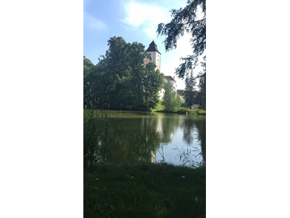 Mariage - Art der Location: privates Anwesen - L'Autriche - Schloss Seisenegg - Teichansicht - Schloss Seisenegg