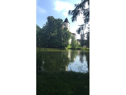 Hochzeit - Umgebung: im Park - Niederösterreich - Schloss Seisenegg - Teichansicht - Schloss Seisenegg