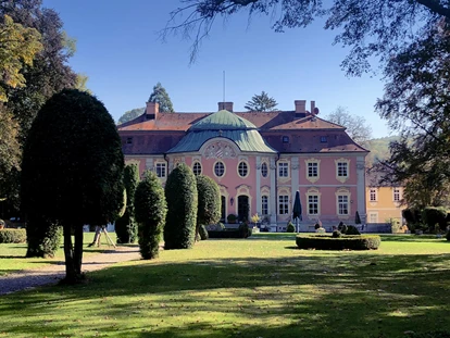 Mariage - Geeignet für: Hochzeit - Oedheim - Schloss Assumstadt