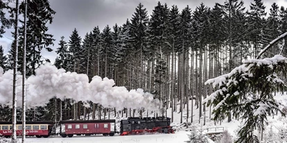 Nozze - Geeignet für: Eventlocation - Bassa Sassonia - Winter im Harz - Granetal.Quartier
