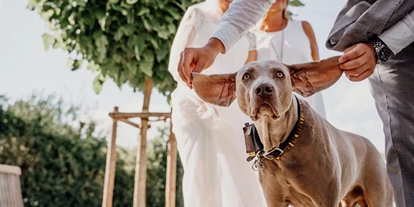 Wedding - Hunde erlaubt - Erbes-Büdesheim - Weingut FLUHR-ELLER