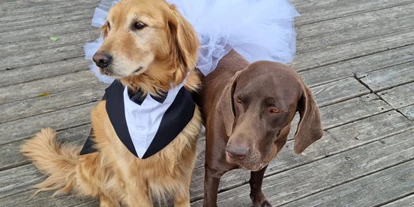 Wedding - Brandenburg Süd - Wohlerzogene Hunde erlaubt  - Spreeparadies