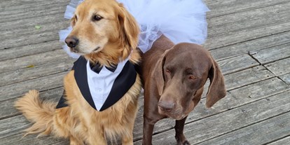Hochzeit - Märkisch Buchholz - Wohlerzogene Hunde erlaubt  - Spreeparadies